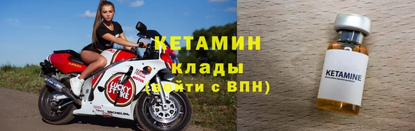 прущие грибы Елабуга