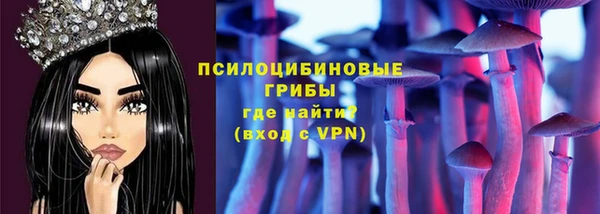 spice Елизово