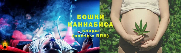 spice Елизово
