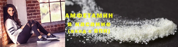 прущие грибы Елабуга