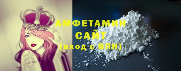 прущие грибы Елабуга