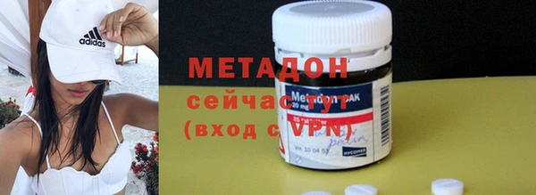 прущие грибы Елабуга