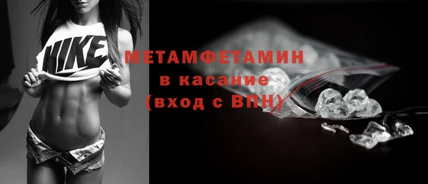 прущие грибы Елабуга