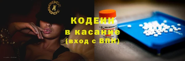 прущие грибы Елабуга
