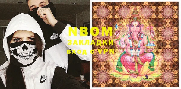 прущие грибы Елабуга