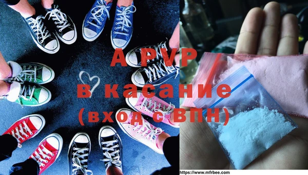 прущие грибы Елабуга