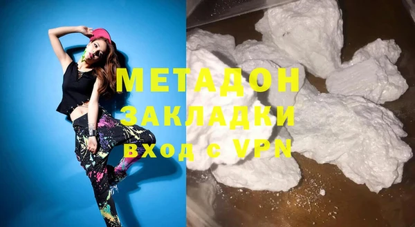 прущие грибы Елабуга