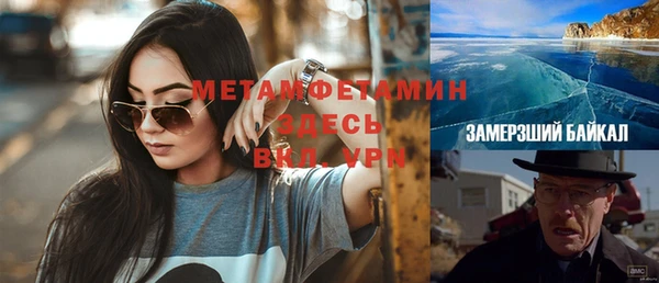 прущие грибы Елабуга