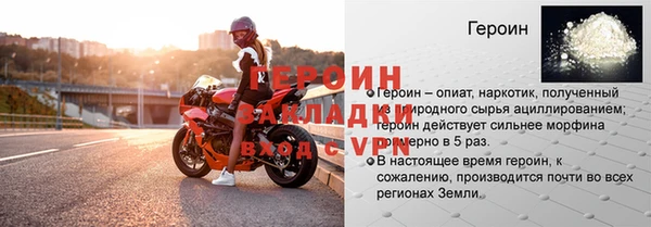 прущие грибы Елабуга