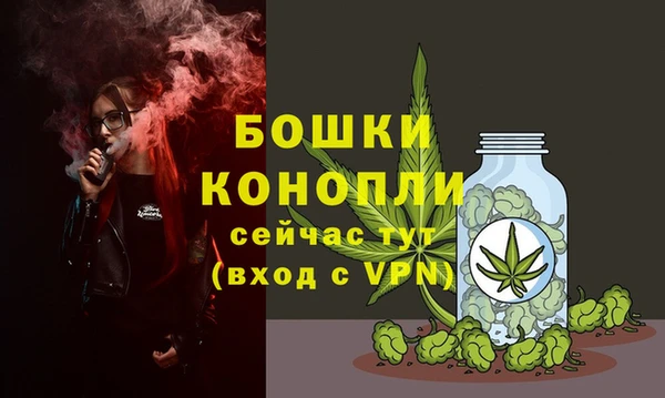spice Елизово