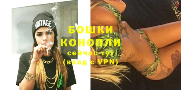spice Елизово
