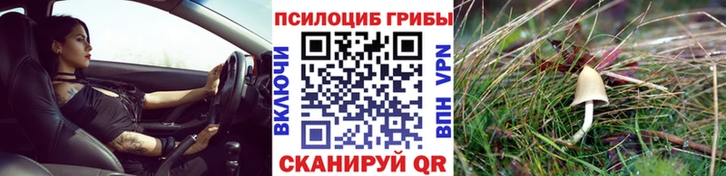 Галлюциногенные грибы Magic Shrooms  Купить закладки  Янаул 
